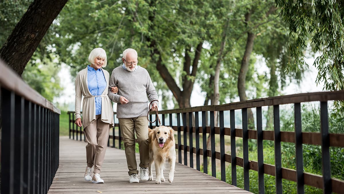 STORM-PE: Mechanical Thrombectomy Boosts Walking and Daily Living Gains