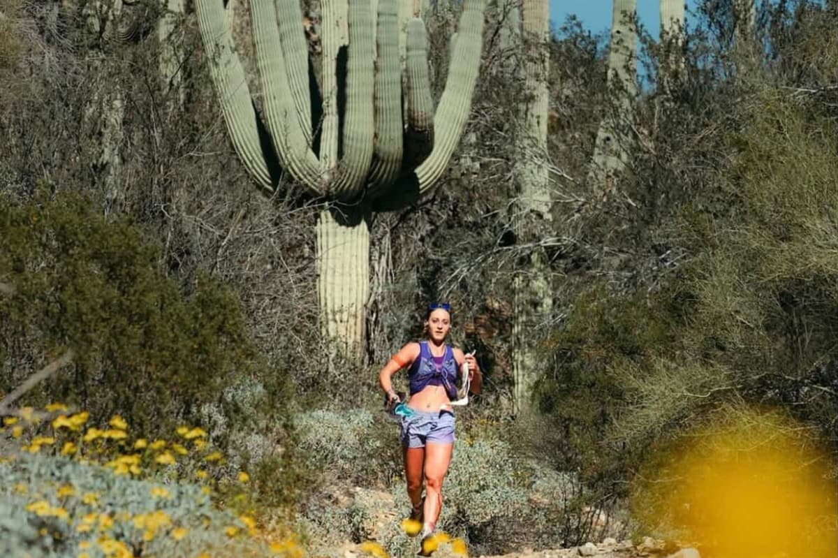 Ellaney Matarese: Ivy Track to Cactus Trails