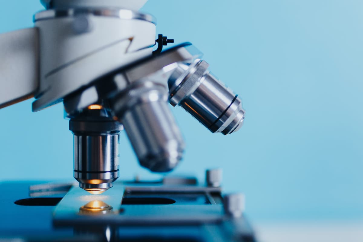H.C. Wainwright Reduced Its Price Goal on Summit Therapeutics Inc. (SMMT)
