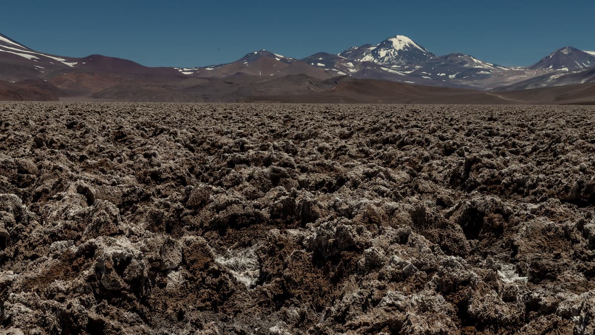 Ganfeng Invests $319M in Australian Mount Marion Lithium Mine