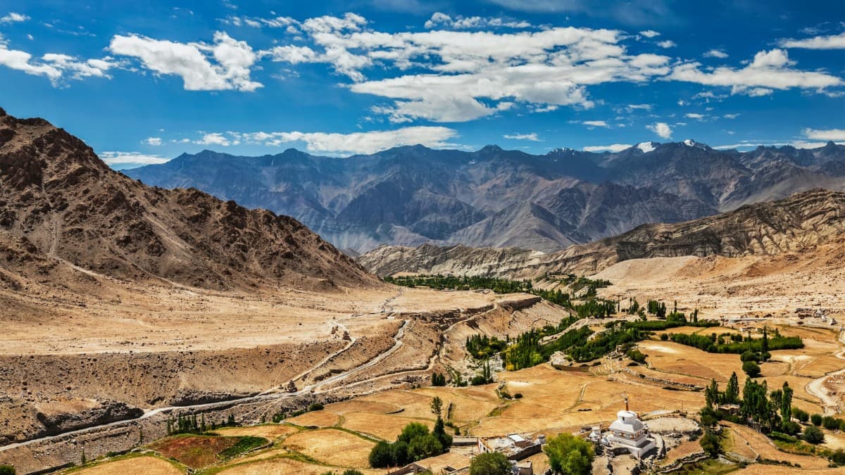 Regional Leaders Back Taliban Trade Ties While EU Holds the Line