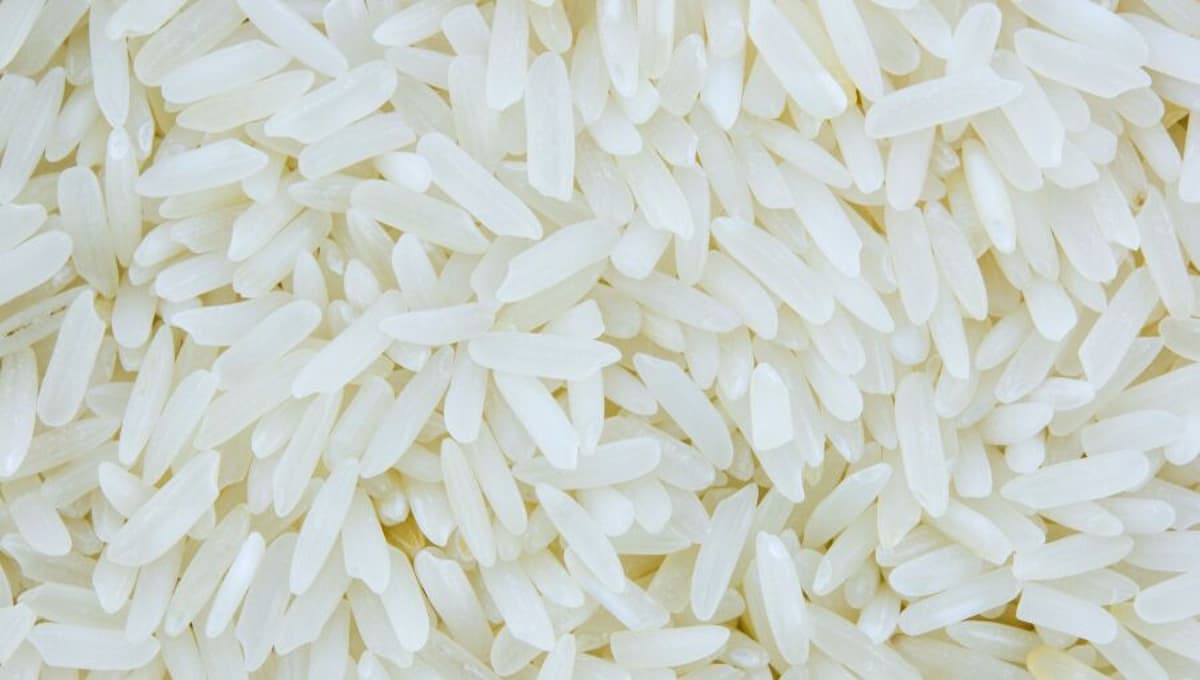 Iraq Drops Out of Thai Rice Market Due to Hormuz Blockage