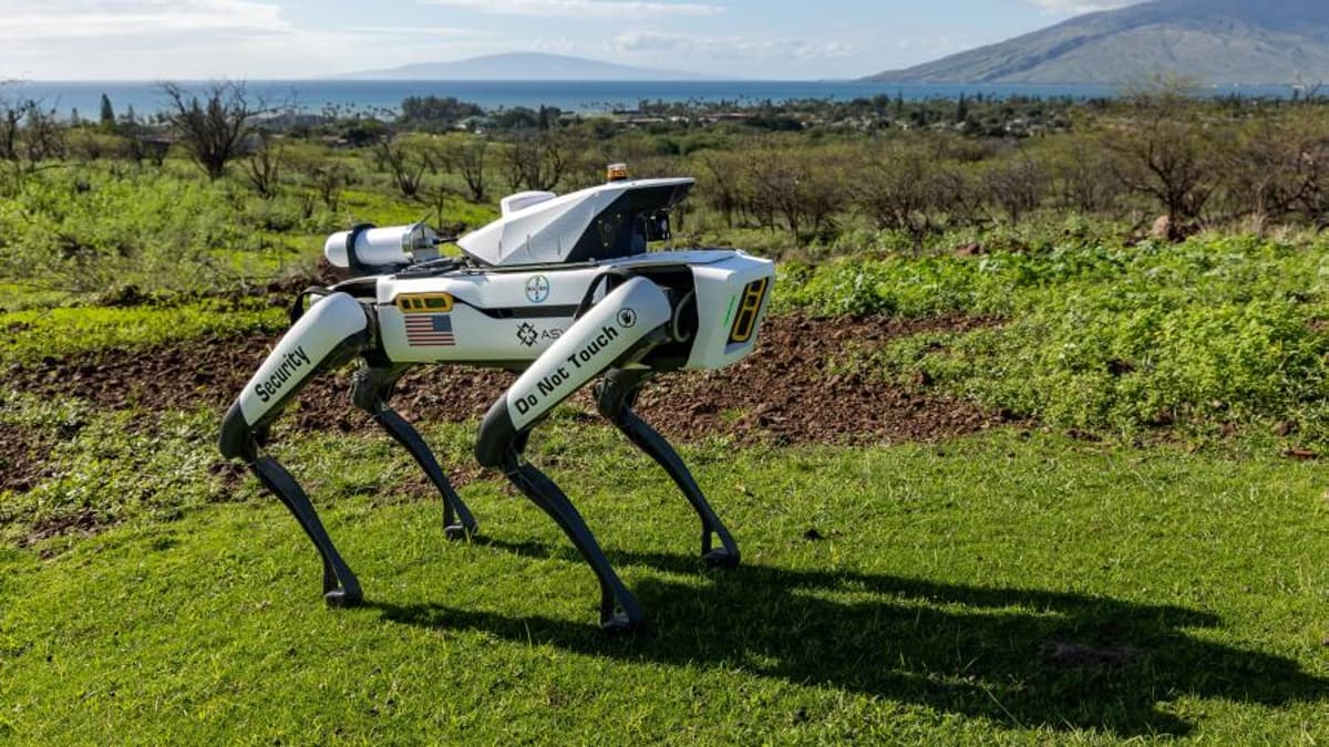 Robotic Security Dogs Now on the Job to Protect Crops