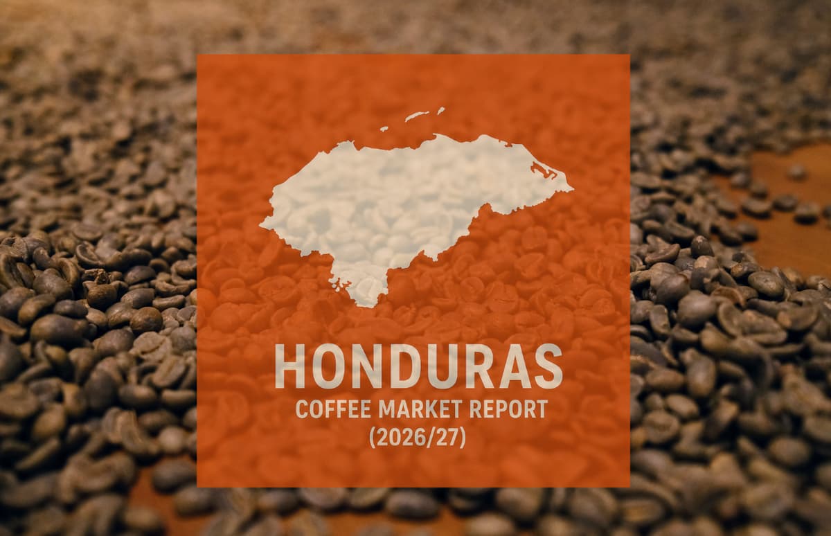 Honduras Coffee Report: Production Rising to Highest Level in Years