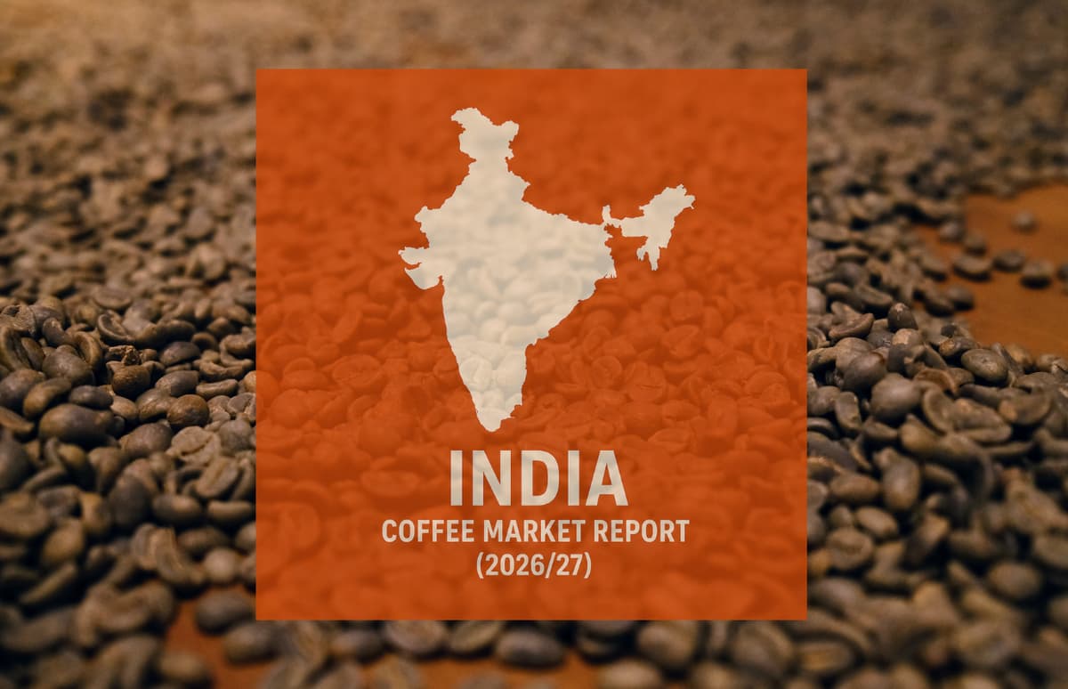 India Coffee Report: Soluble Coffee Drives Exports but Arabica Declining