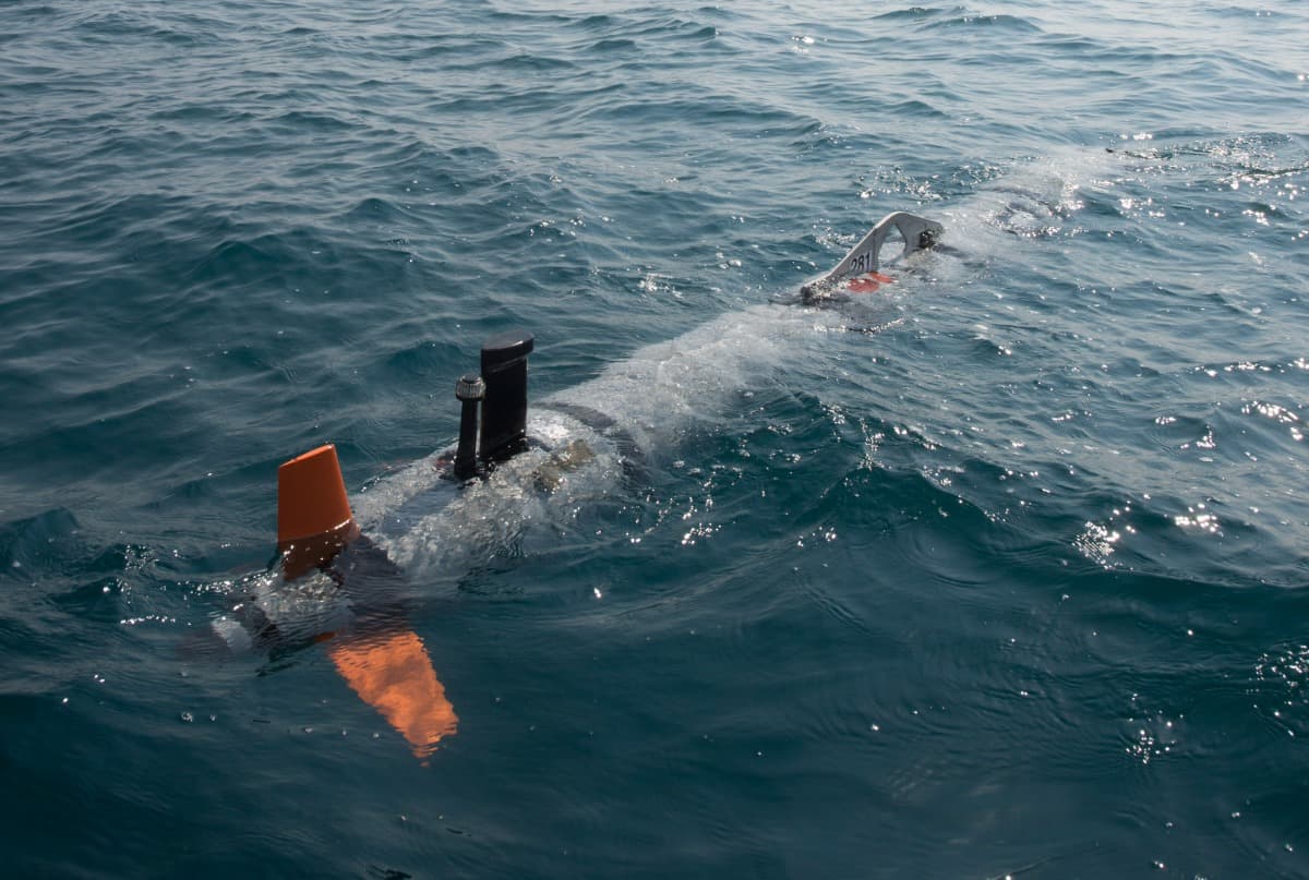 Pentagon Wants Miniature Deep-Ocean Drones