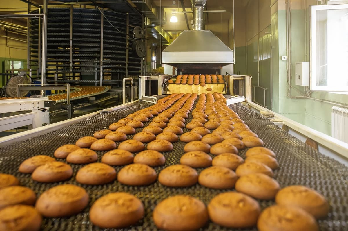 From a Family Baking Dynasty to Legal Tech and Much More