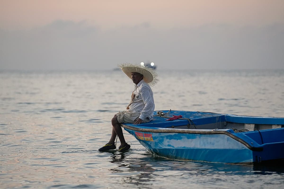 How Investor-State Arbitration Throttles Environmental Action