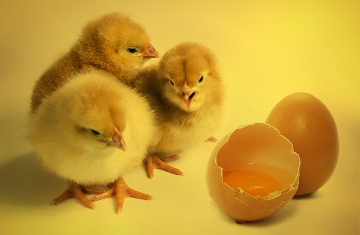 The Flight Plan for Drone Technology – Cracking the Chicken/Egg Challenge of Funding and Enabling Innovation