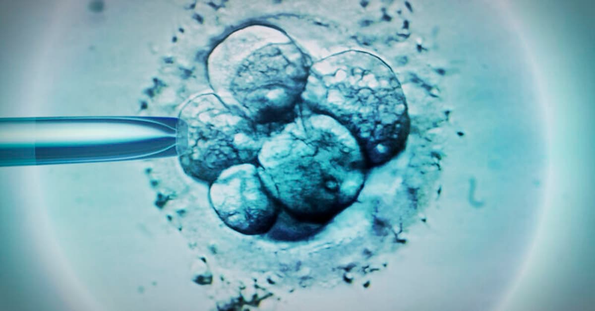 The Rise and Rise of Icky IVF Ads