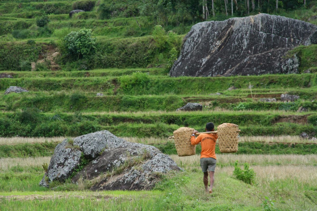 How Asean Can Reduce Its Heavy Dependence on Imported Agricultural Inputs