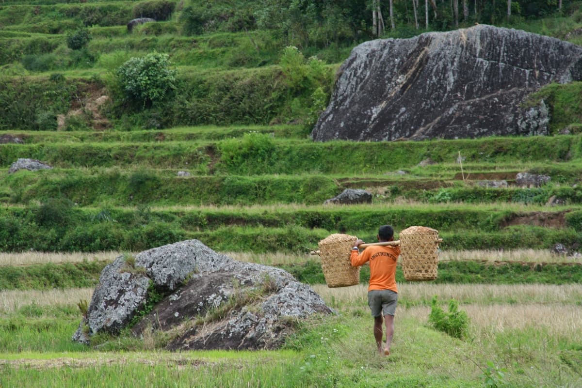 How Asean Can Reduce Its Heavy Dependence on Imported Agricultural Inputs