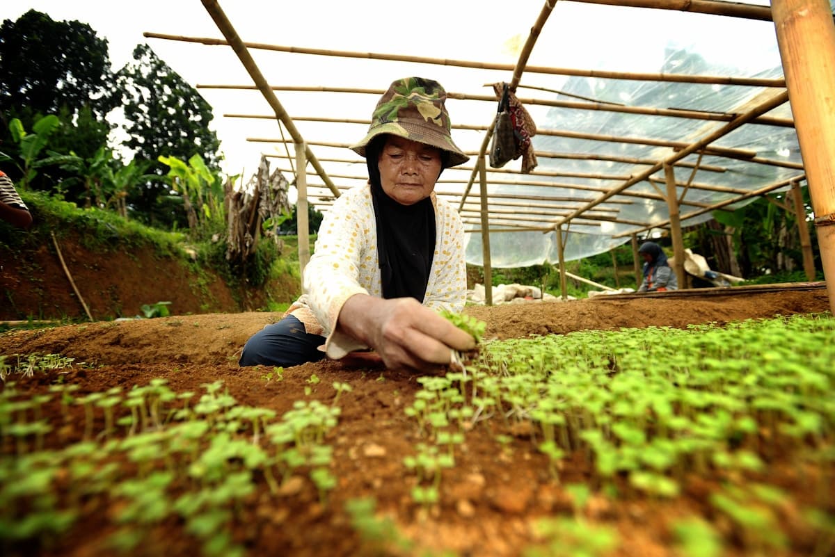Are Southeast Asia’s Organic Farmers More Resilient to Fertiliser Price Spikes?