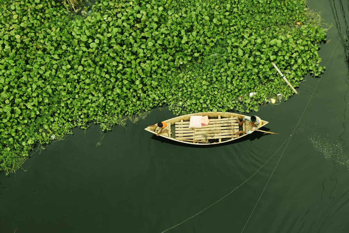 Water Stress Increases Downside Risk to Credit Ratings of Lower-Income Countries: AIIB