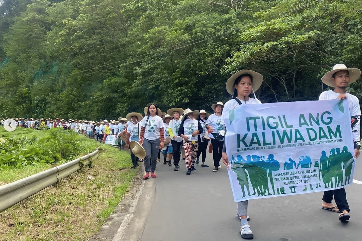 Chinese Firms No Less Green than Europeans, Says Leading Local Expert