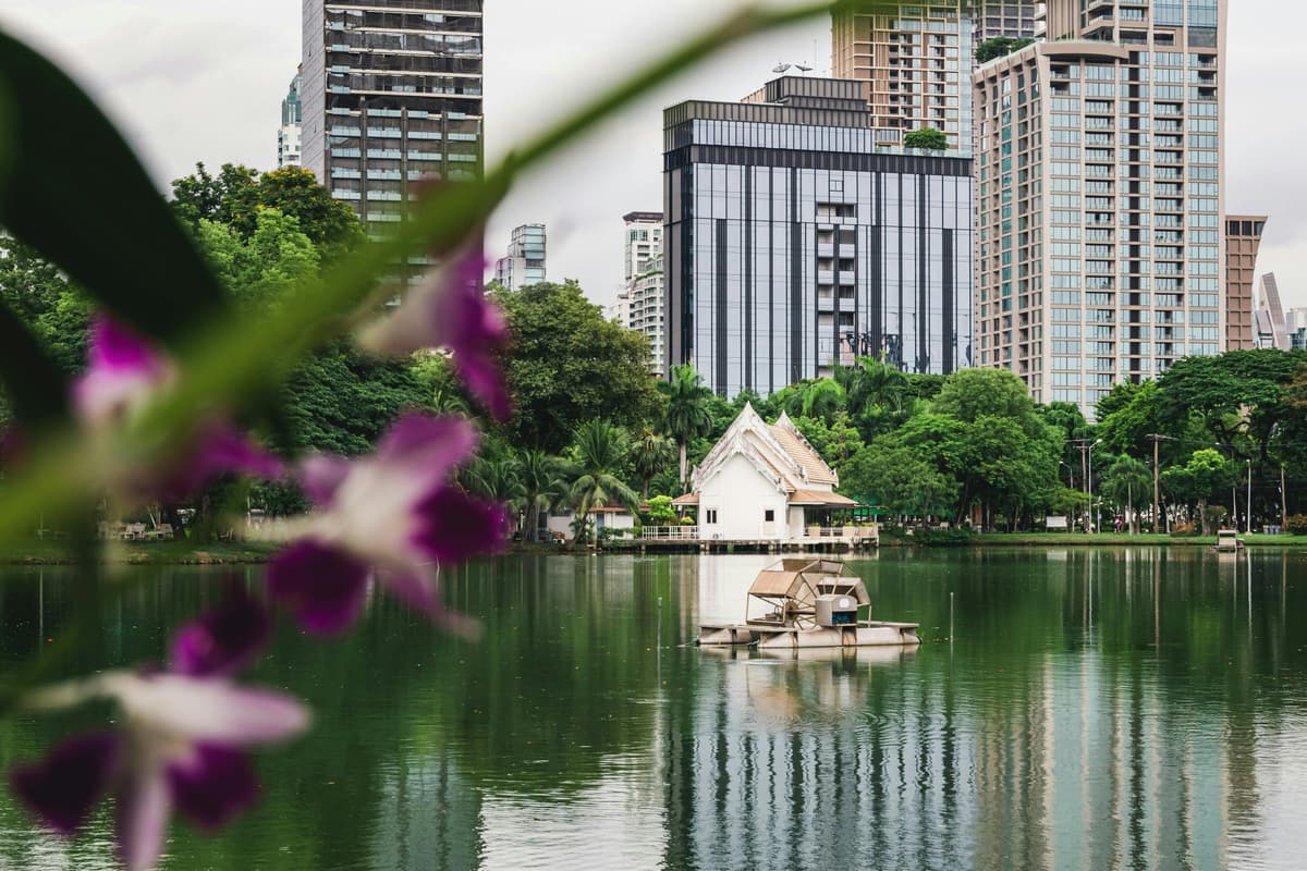 Trees and Greenery Can Cool Cities by as Much as 18°C – but only if They’re the Right Type