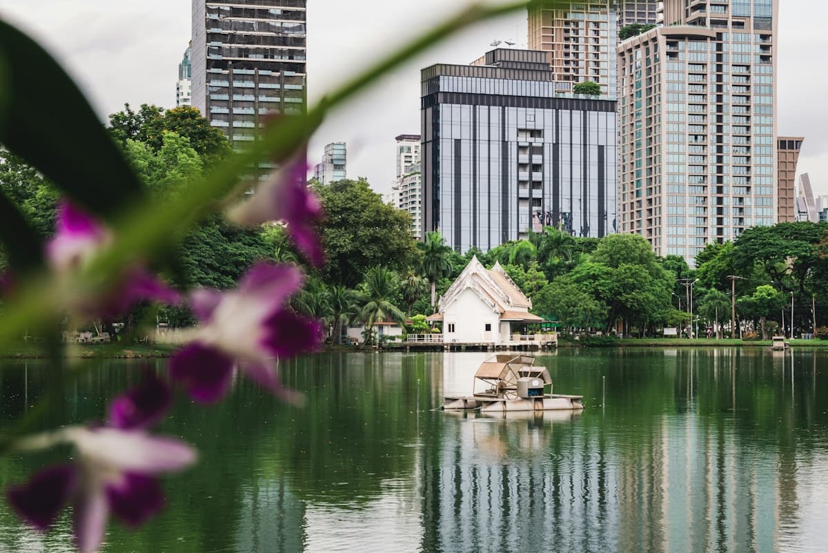 Trees and Greenery Can Cool Cities by as Much as 18°C – but only if They’re the Right Type