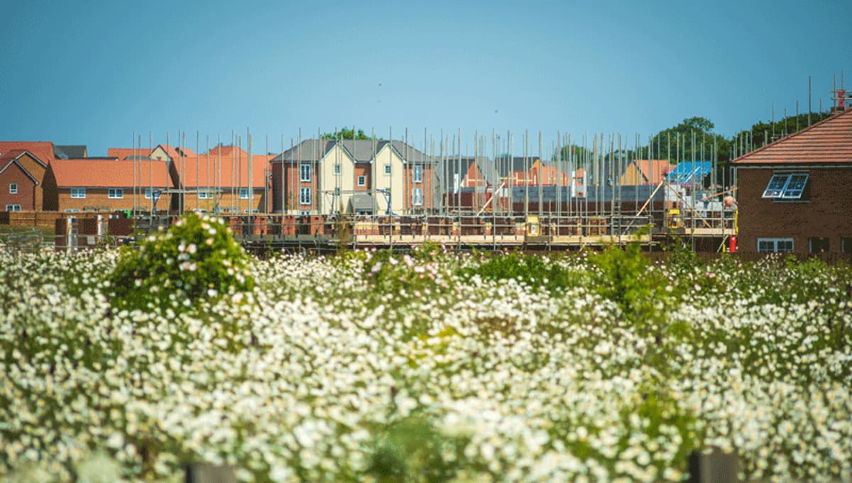 Biodiversity Net Gain: Small Sites Exemption Confirmed, NSIP Compliance Date Set