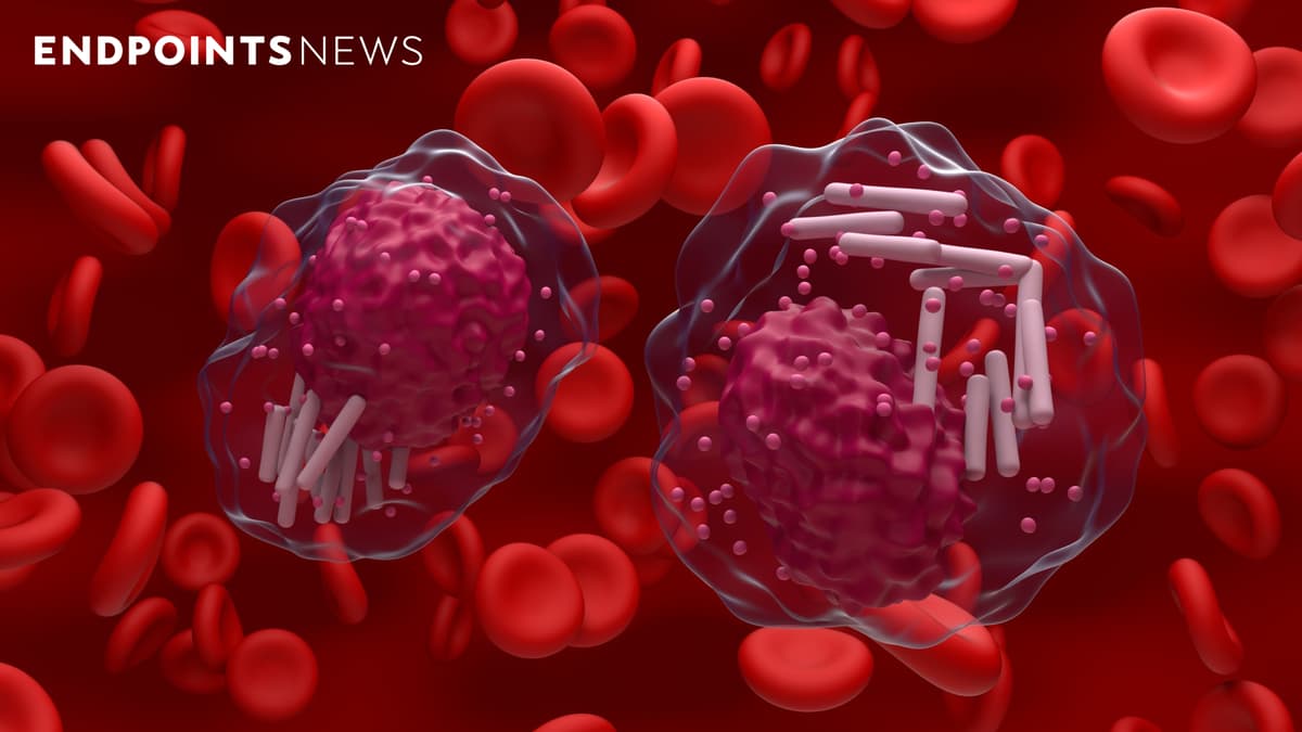 Enliven’s Phase 1 Leukemia Pill Data Look Competitive with Novartis and Terns