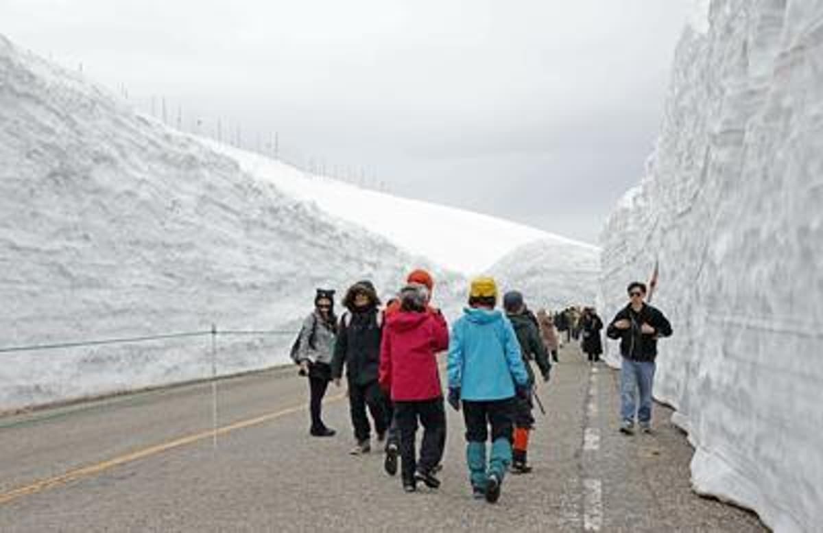 Japan's Alpine Route Opens, Showcasing Snow Walls