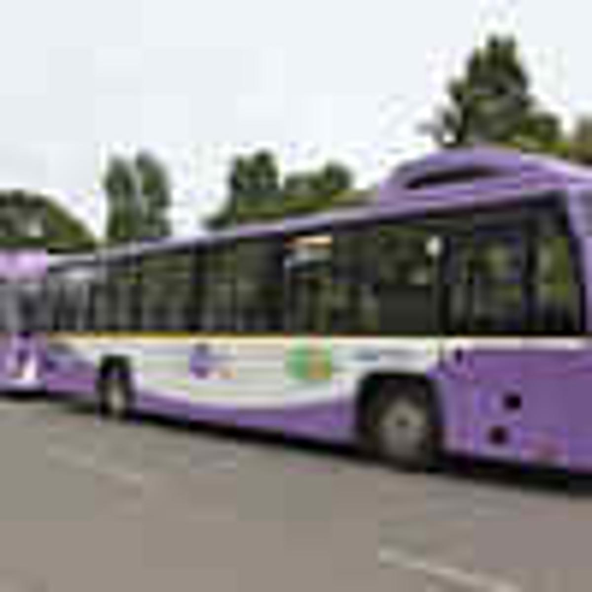 PURPLE BUS Drives Maharashtra's First Private EV Revolution