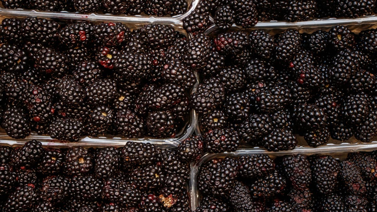 Blackberries Now Among Produce with Highest Traces of Pesticides