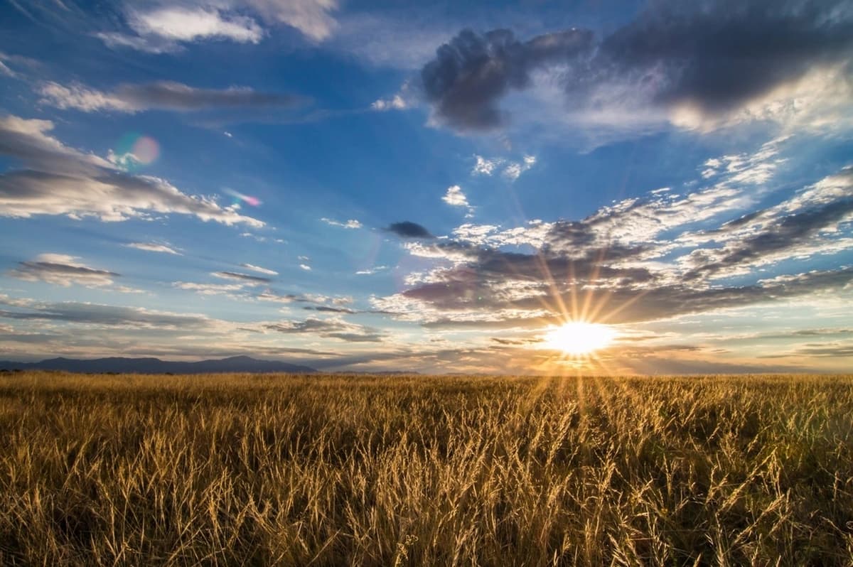 January 2026: Top Five New Launch Stories of the Month