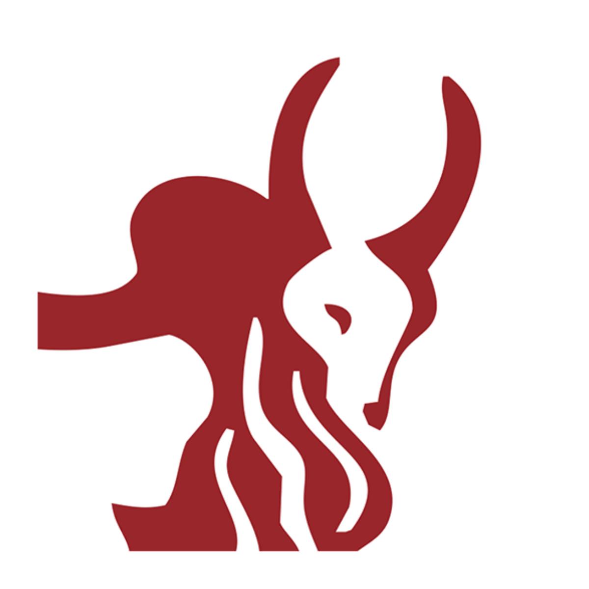 Ravi Pangal Joins IndusInd Bank as New CIO