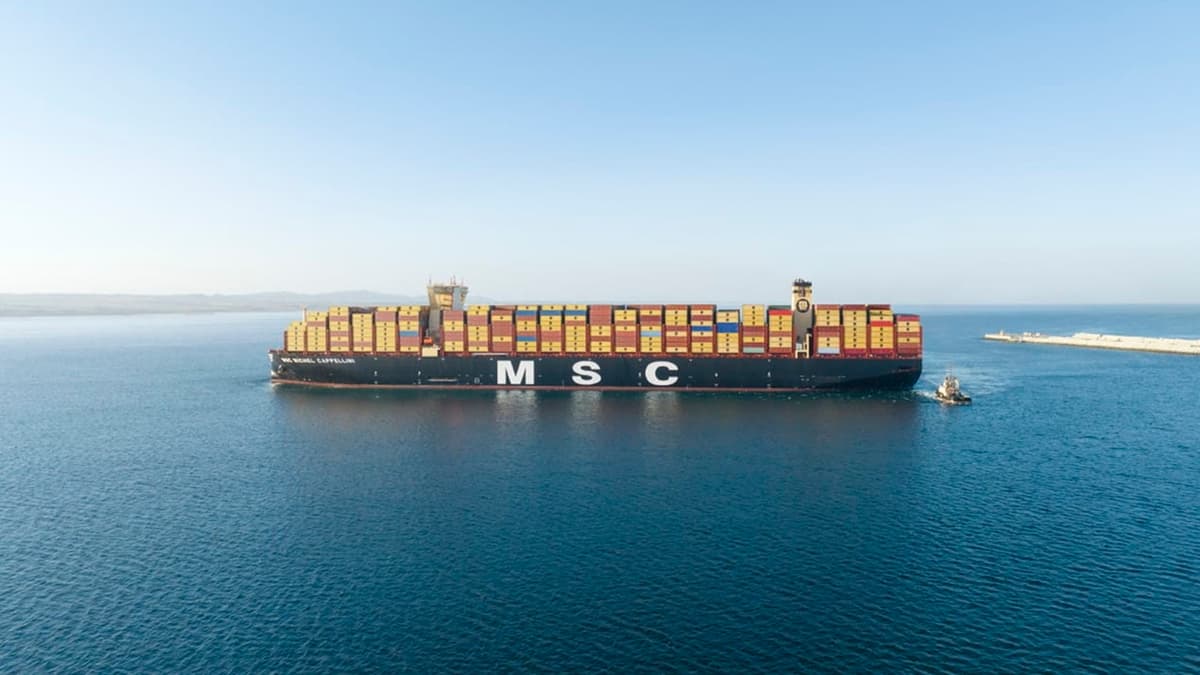 MSC Controls over One-Fifth of the Container Shipping Market