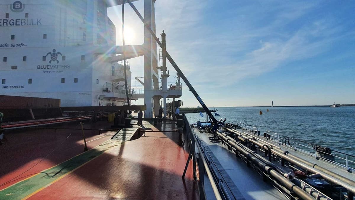 Bimco Introduces Biofuel Clause for Timecharters