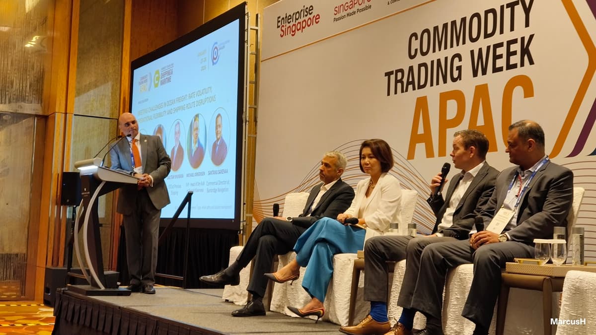 Major Dry Bulk Shipping Companies Steering Clear of Red Sea