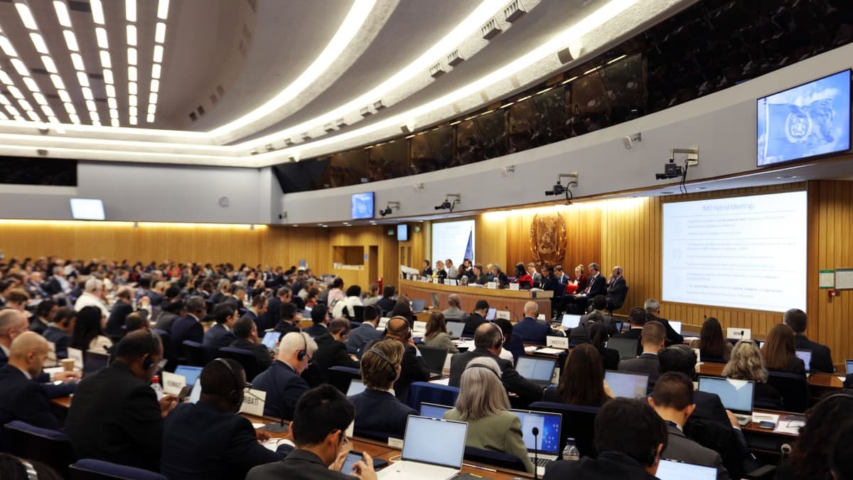 IMO NZF Would Send Stable Demand Signal for Zero-Emission Fuels