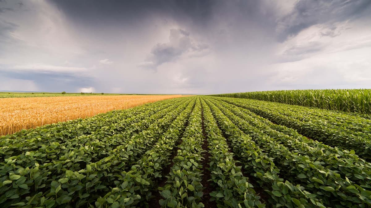 Price Opportunities Shift From War to Weather