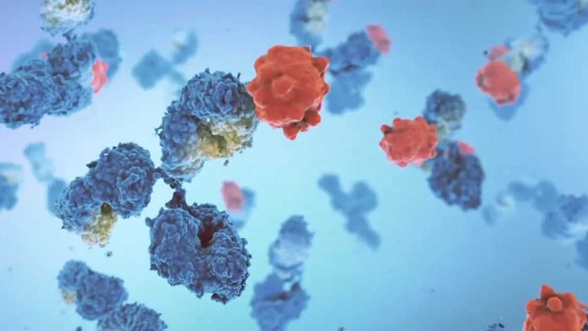 InflaRx Raises $150M in US Public Offering to Fund Kidney Drug Development