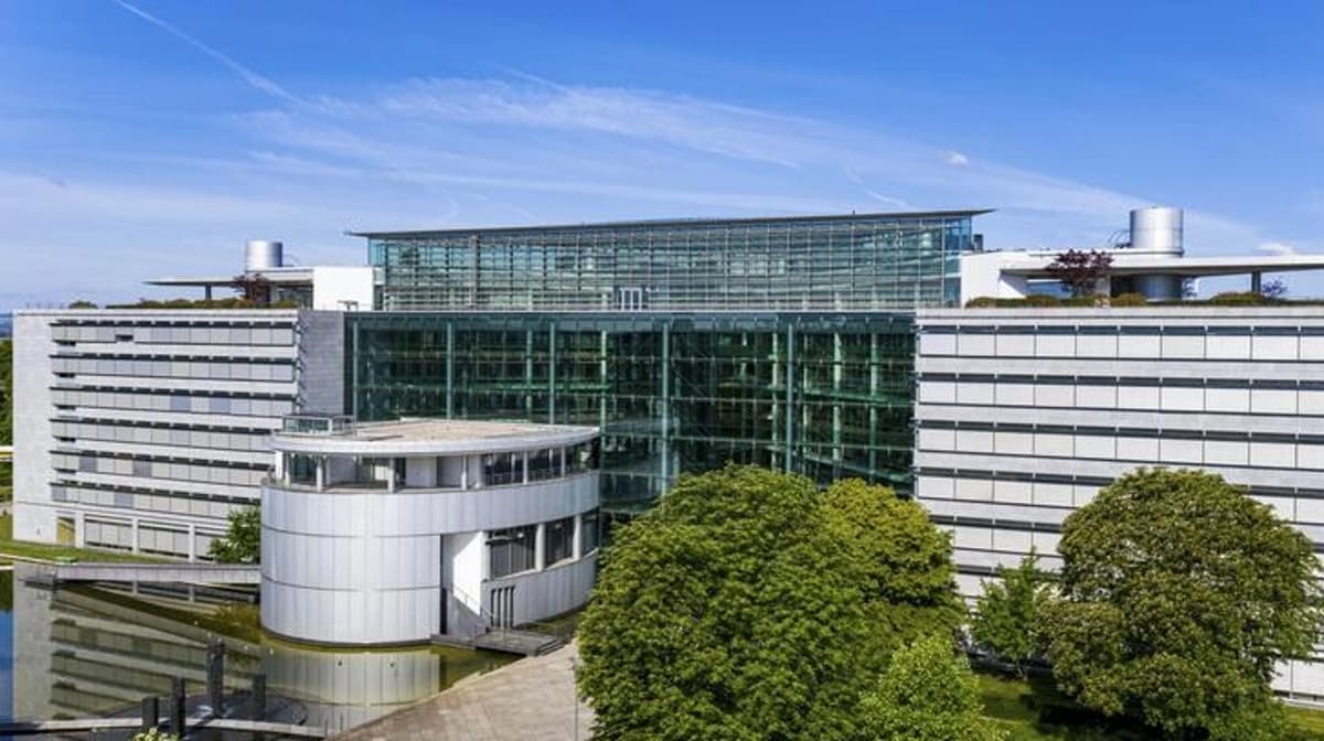 Millions for Preclinical Immunology: Boehringer Teams Up with Immunitas