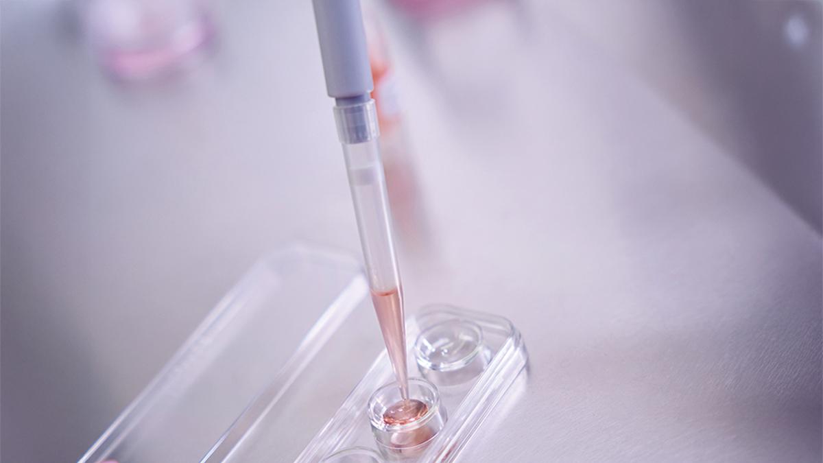 Can Biotech Finally Fix Infertility?