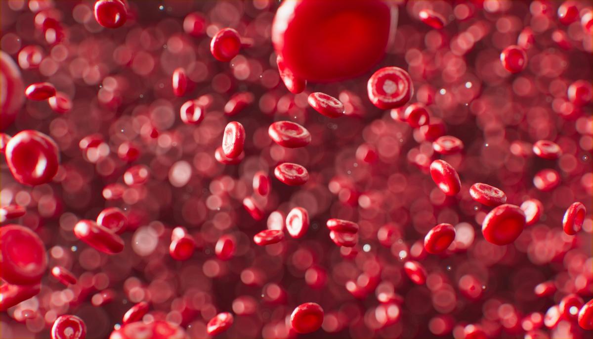 Scarlet Therapeutics Raises £3.2M Seed Round to Advance Lab‑grown Red Blood Cell Therapies