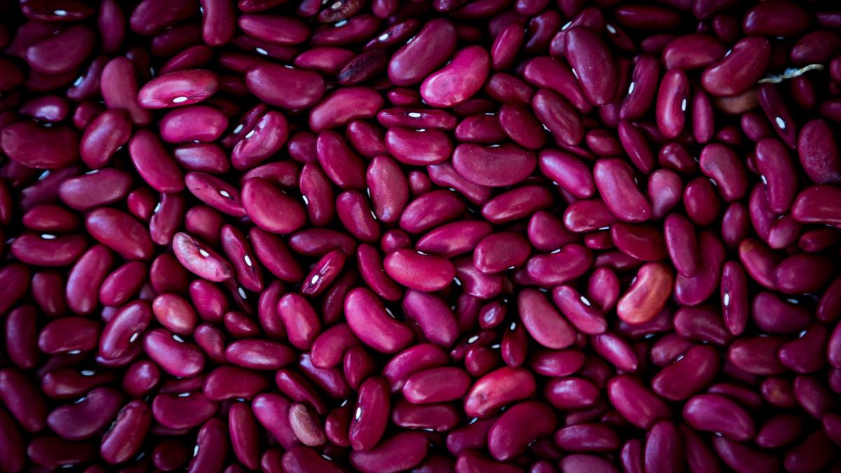 Hansa Data Supports Full Approval Plan for Idefirix