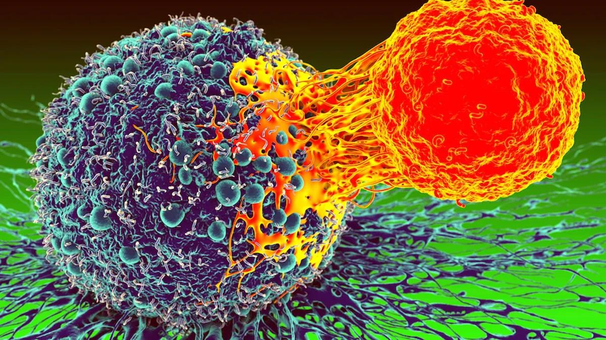 T‑CURX Acquires Pantherna Therapeutics to Boost In‑Vivo CAR‑T Platform