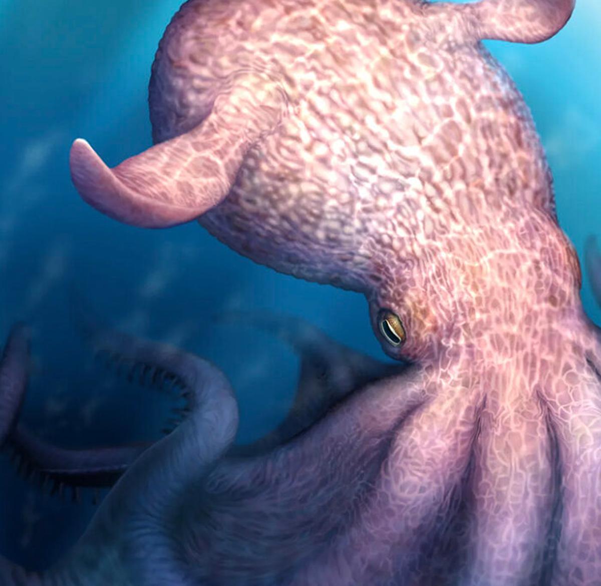 A 19m-Long Giant Octopus Roamed the Cretaceous Seas