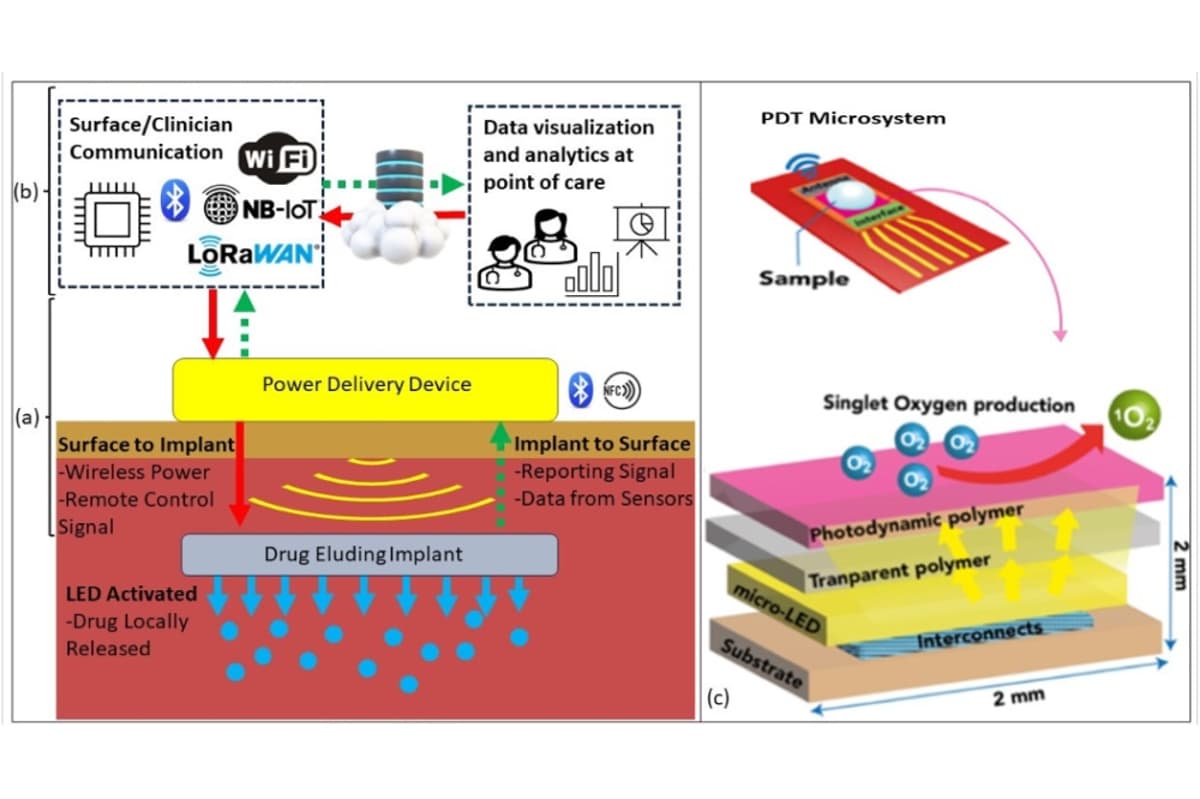 MicroLED Implant Could Cast New Light on Cancer Treatment