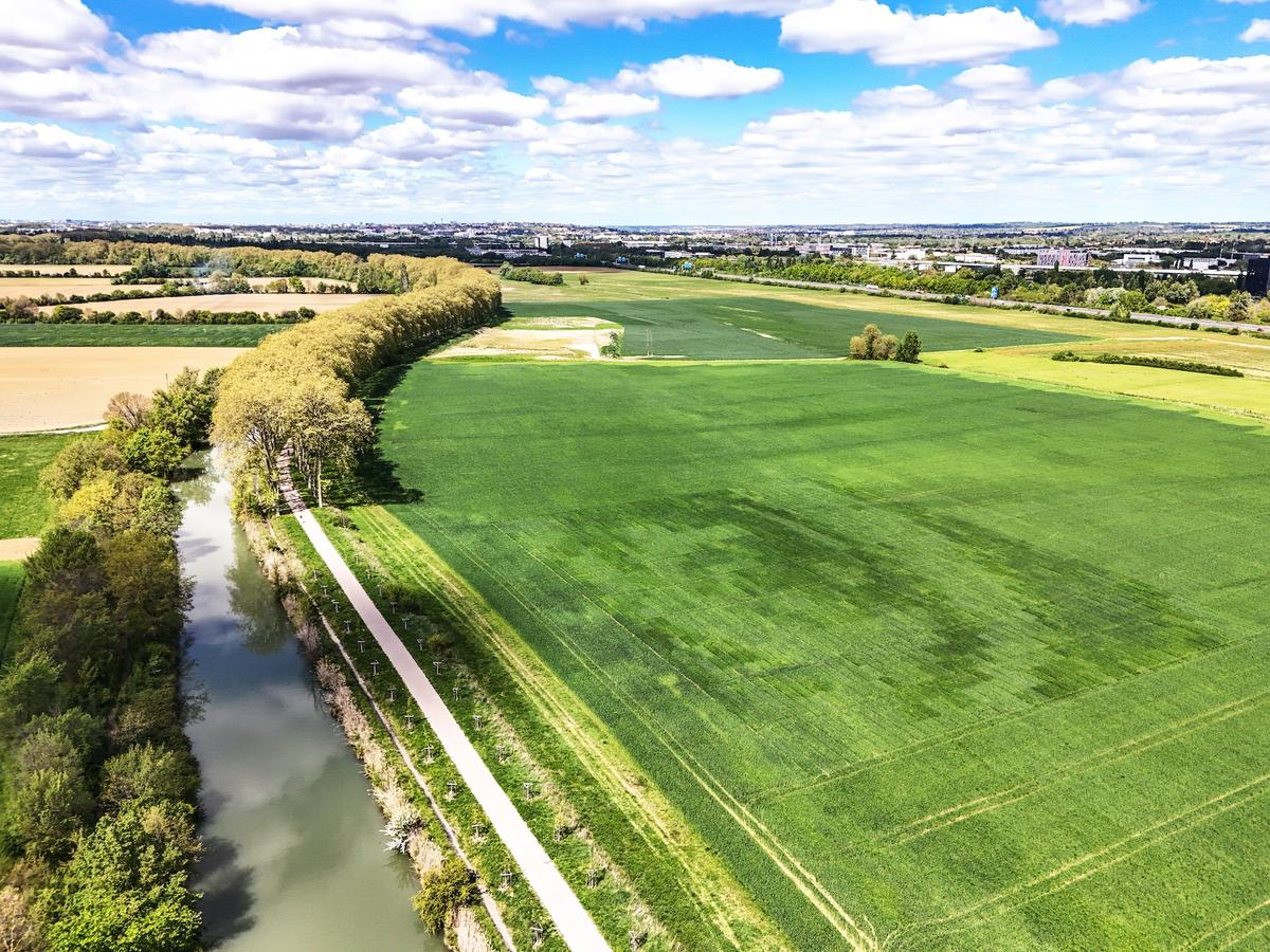 Artist Grows What Could Be the Largest Photograph Ever Made in a Field Near Toulouse