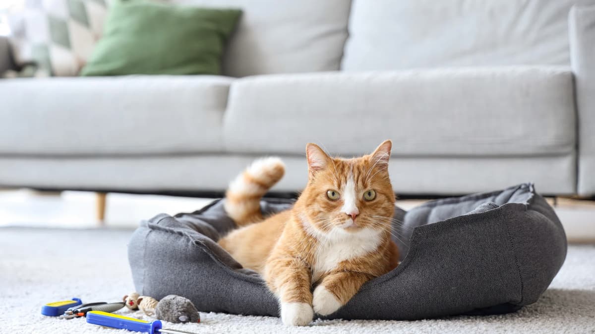 The Art of Writing Erotica With AI: Personalization Is the Whole Game