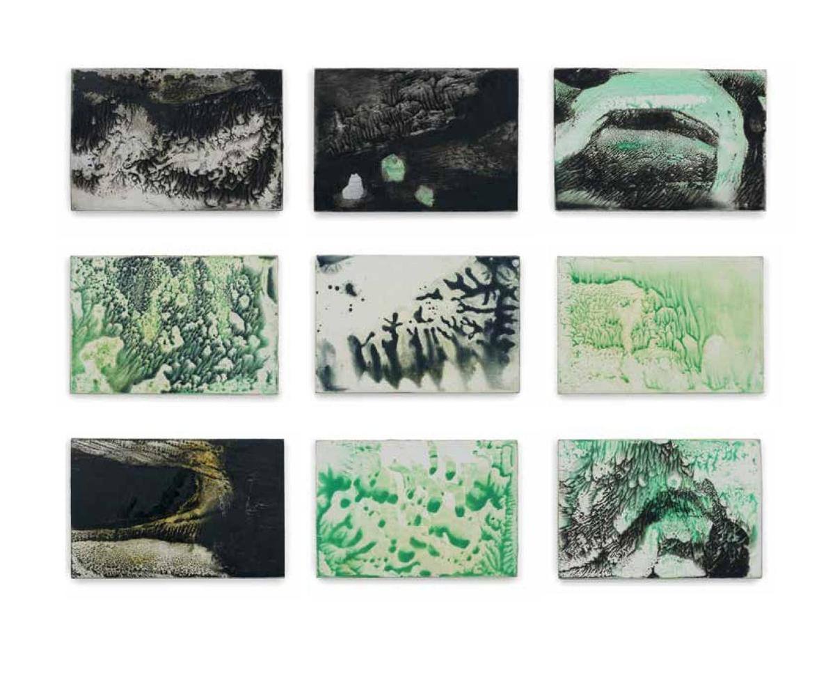 Paul’s Book of the Month: Fiona McIntyre – Sacred Earth