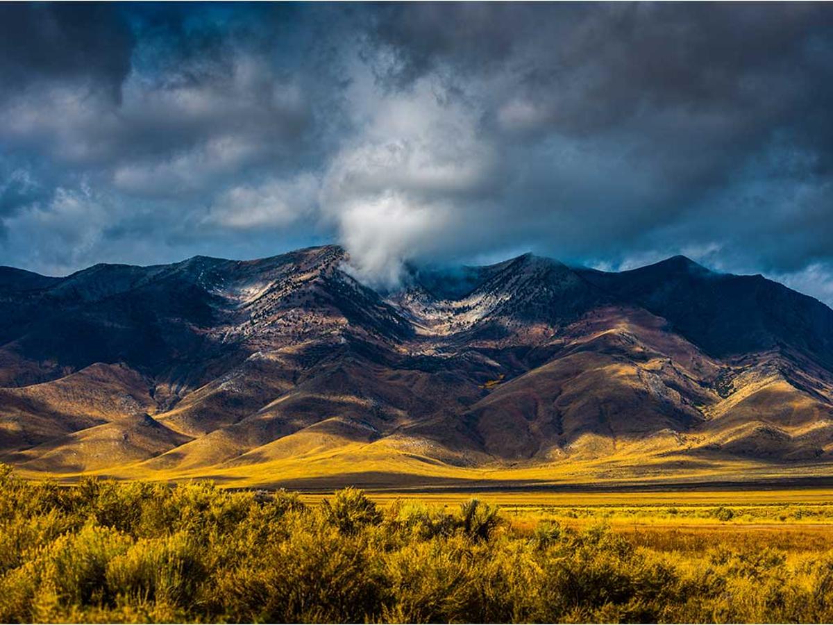 The Nevada Advantage: Strategic Trust and Tax Planning for the Modern Family Business