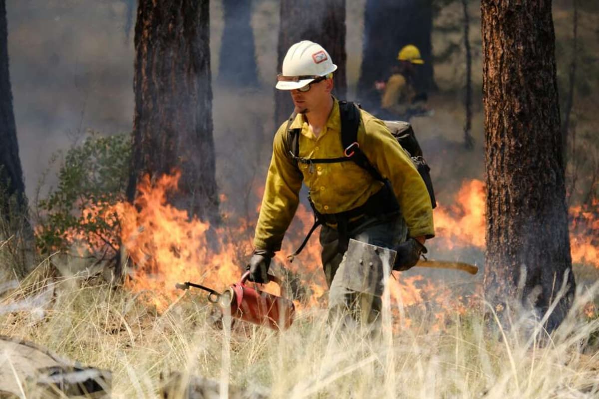 Wildland Firefighters on Track for 25% Hazard Pay Boost for Prescribed Burns
