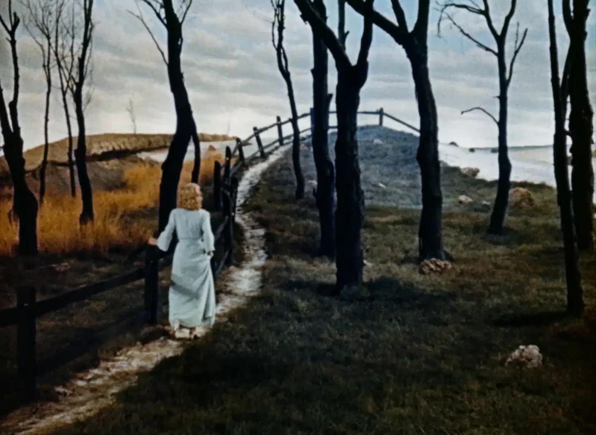 Invaders From Mars (1953)