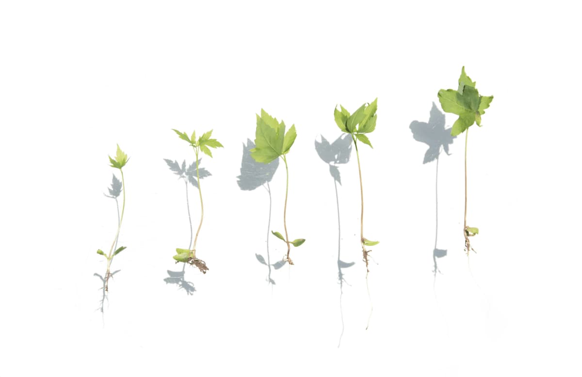 Impact+ Heads to FinovateSpring to Spotlight Early-Stage Fintech Innovation