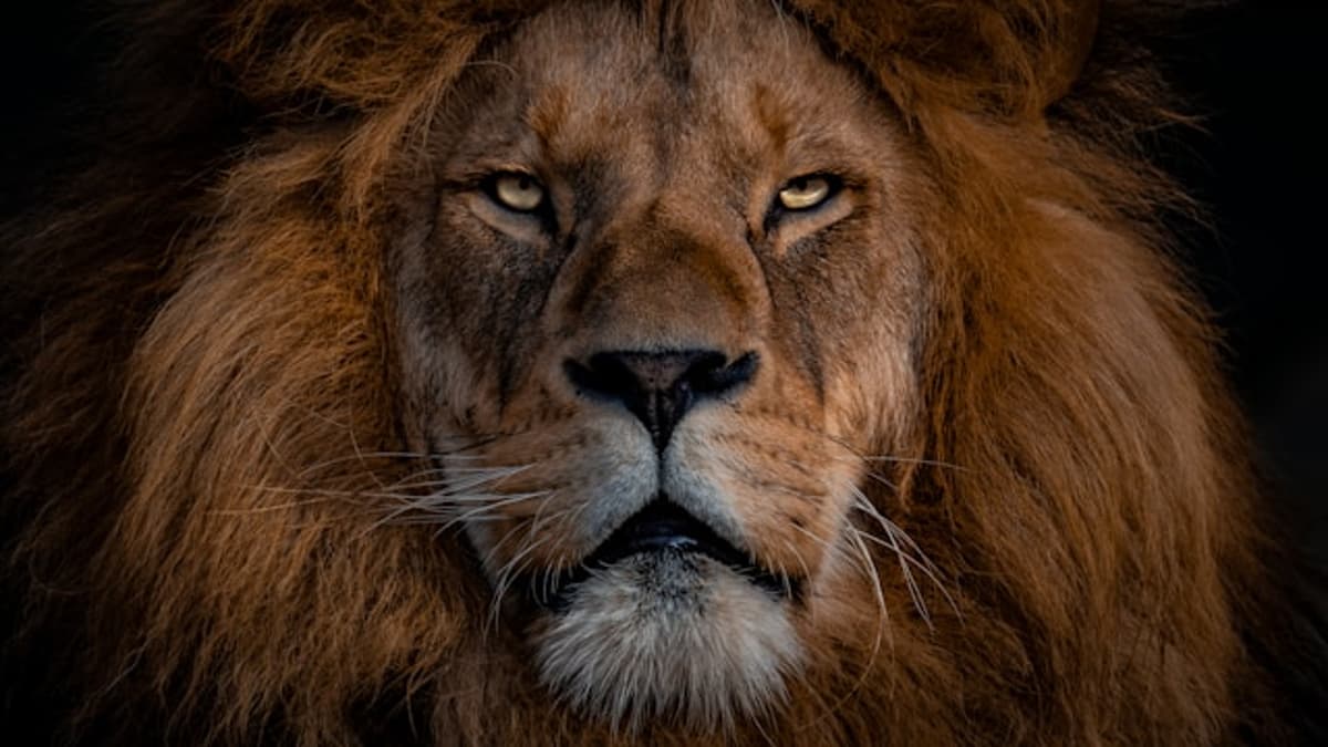 3 FinTech Deals Account for Lion Share of Funding This Week – See This Week’s 14 Deals Here