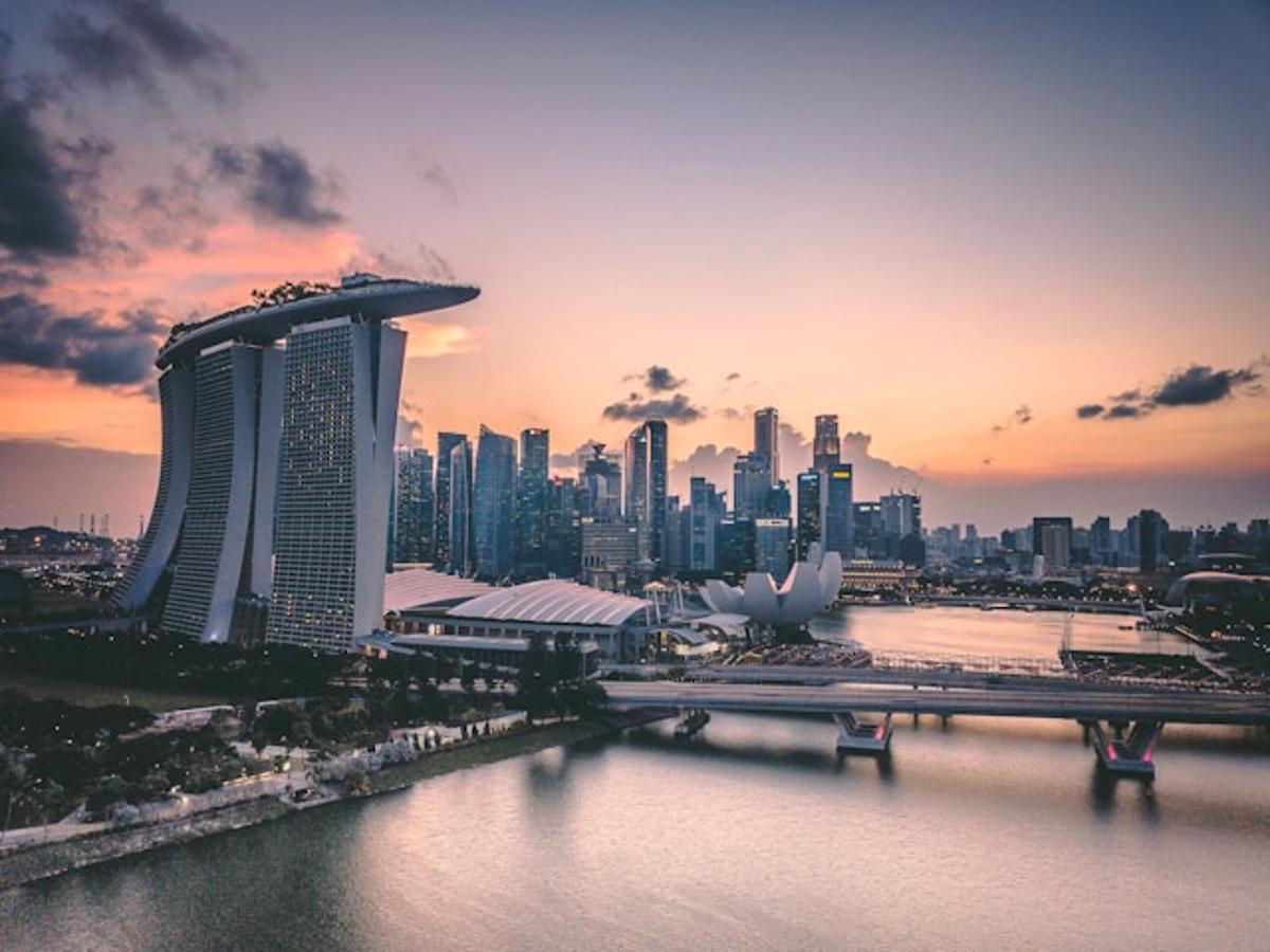 Apis Partners Backs BIPO with $50m Growth Investment